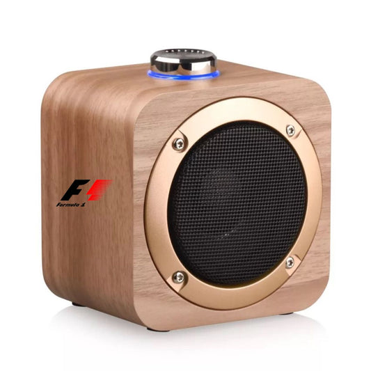 Custom Portable Speaker