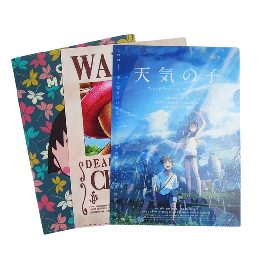 Custom Printed File Folder