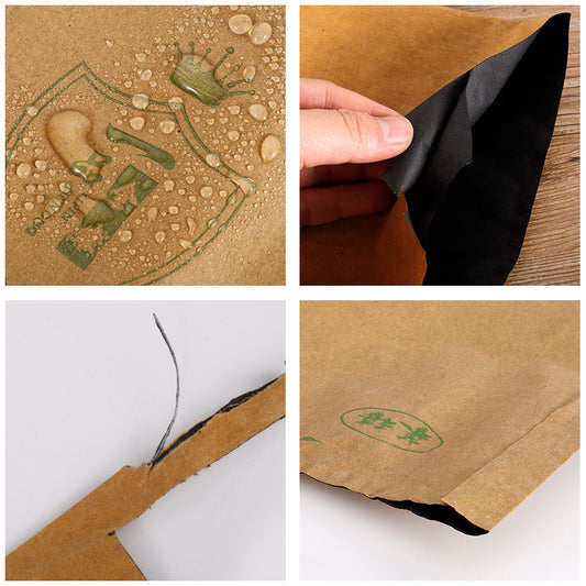 Loquat and Mango Specialty Fruit Bags