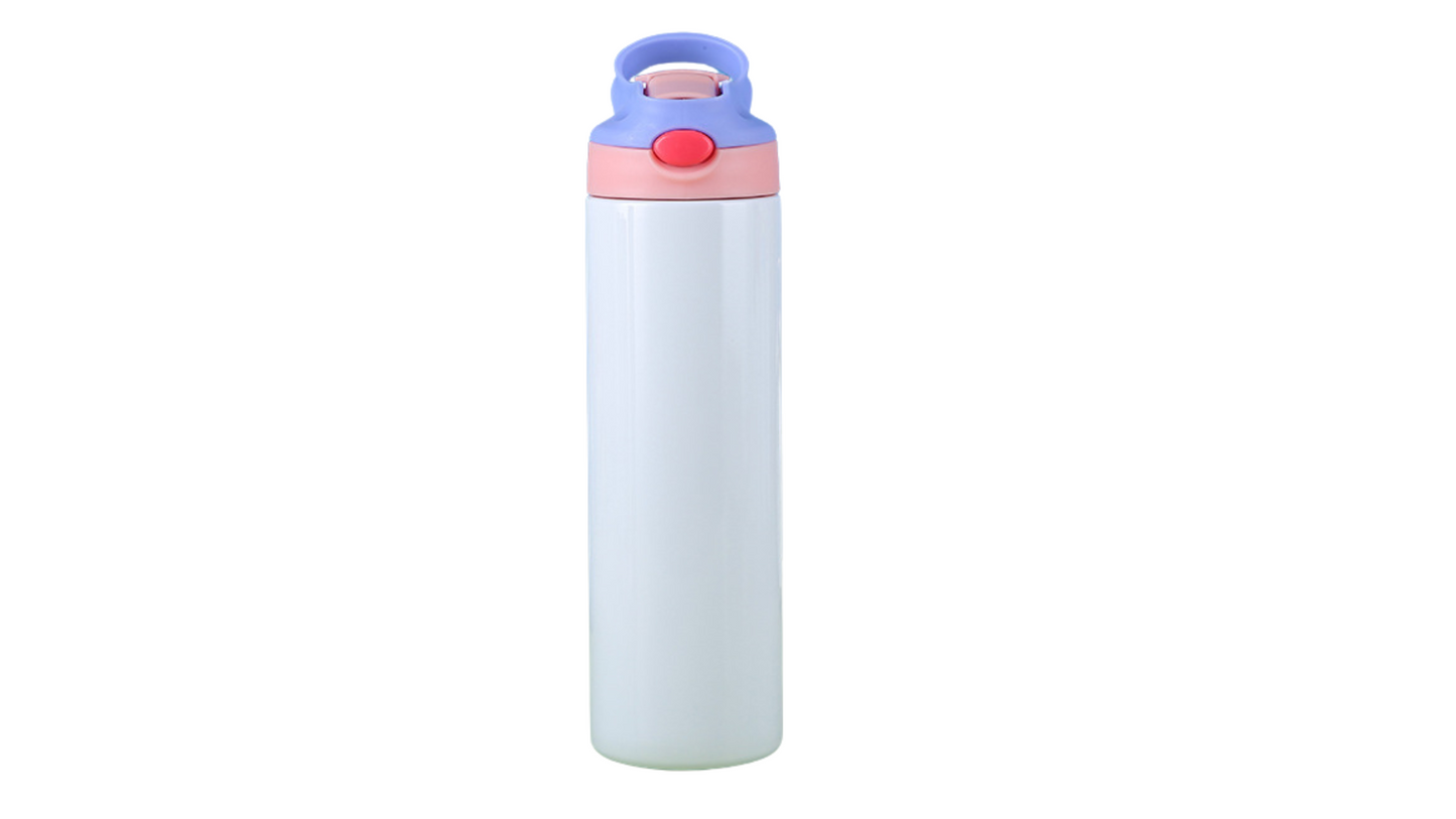 Insulated Stainless Steel Bottle with Straw Lid