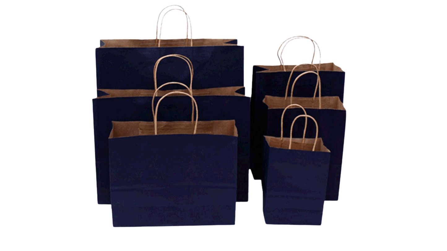 Large Gift Kraft Handle Paper Bags