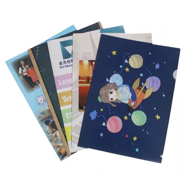 Custom Printed File Folder