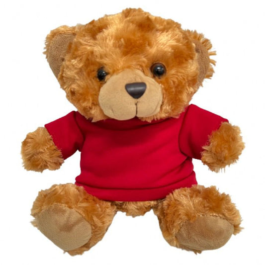 Teddy Bear with T-Shirt