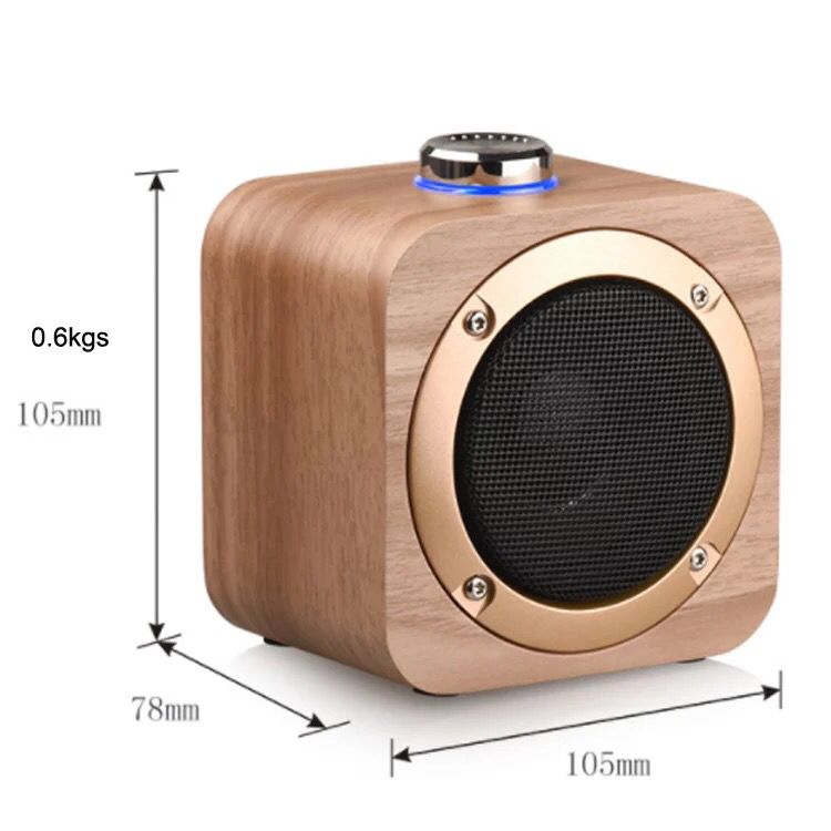 Custom Portable Speaker