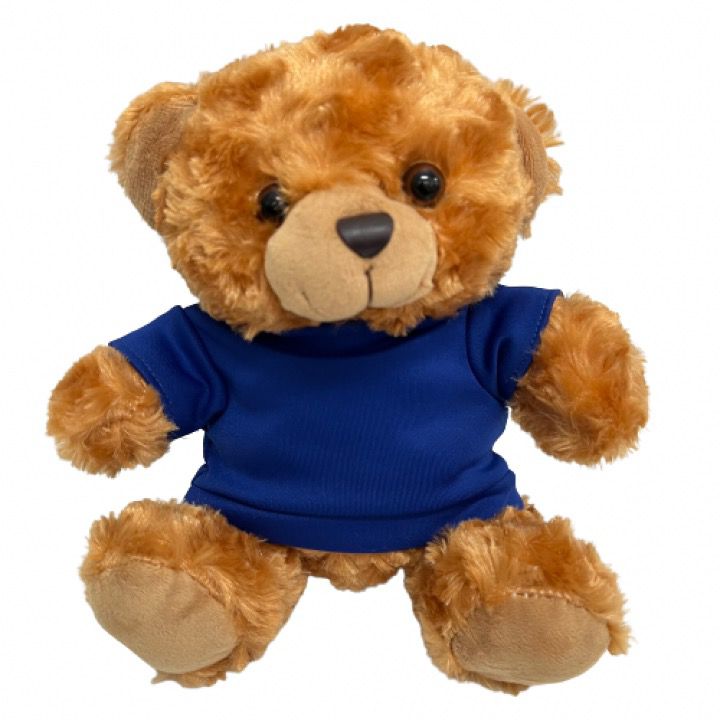 Custom Teddy Bear