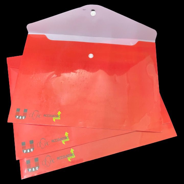 Plastic A4 File Folder With Logo