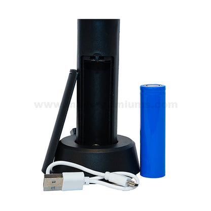 Custom Printed Hand Fan