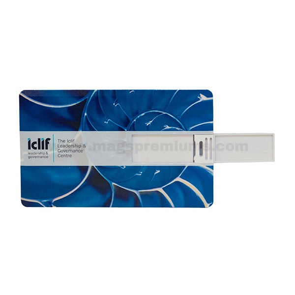 Custom Design USB Stick