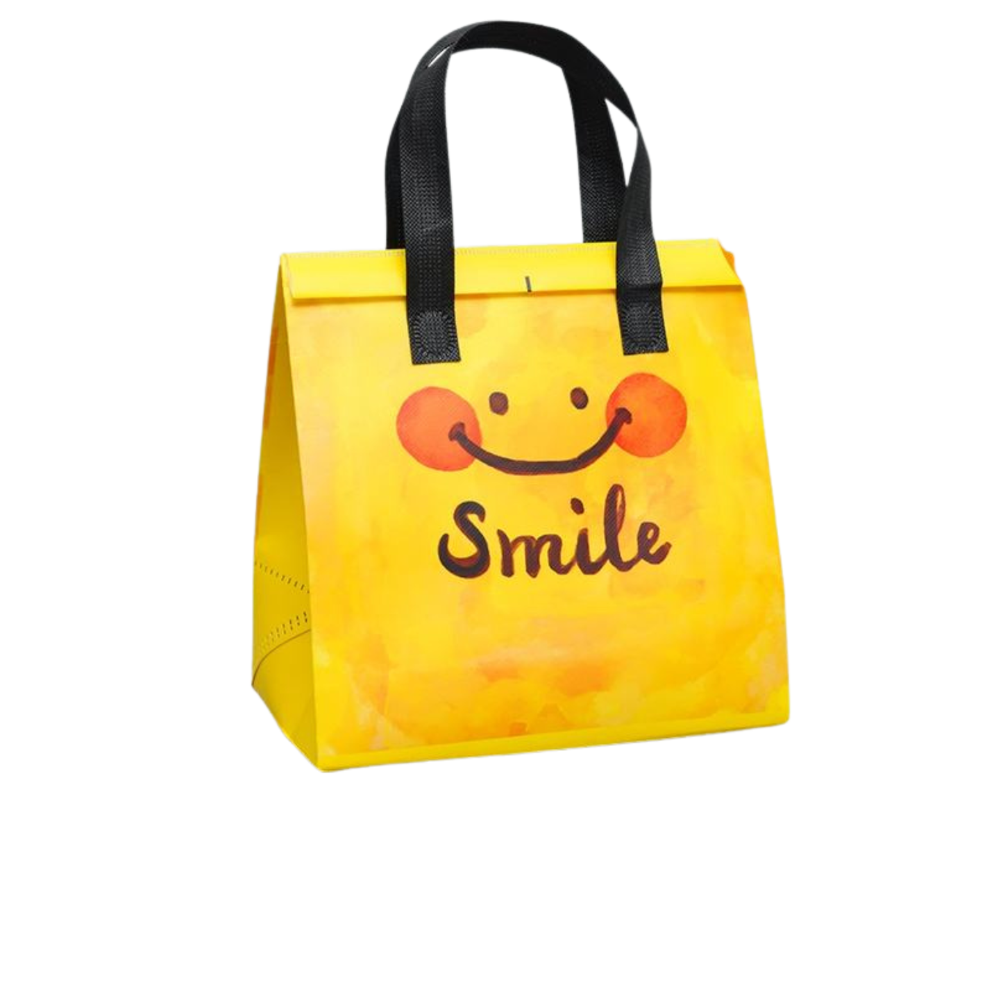 small-insulated-cooler-bag